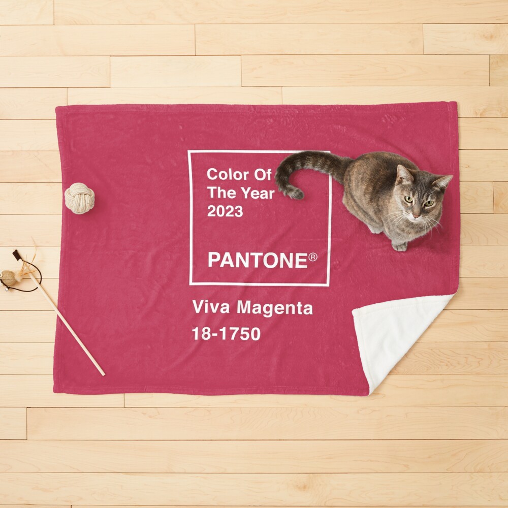 https://ih1.redbubble.net/image.4566419398.5889/ur,pet_blanket_small_flatlay_prop,square,1000x1000.jpg