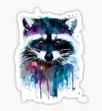 raccoon Sticker