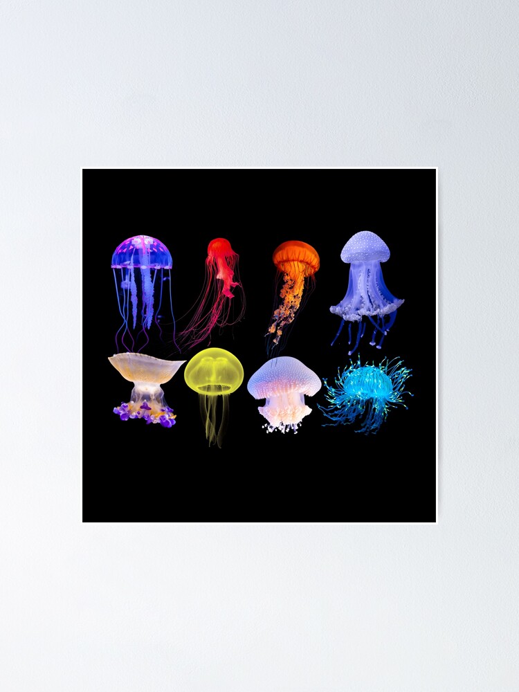Jellyfishing Net Photographic Print for Sale by edgy-tees