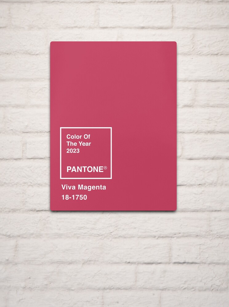 Pantone's Color of the Year 2023: Viva Magenta Color Palette 409