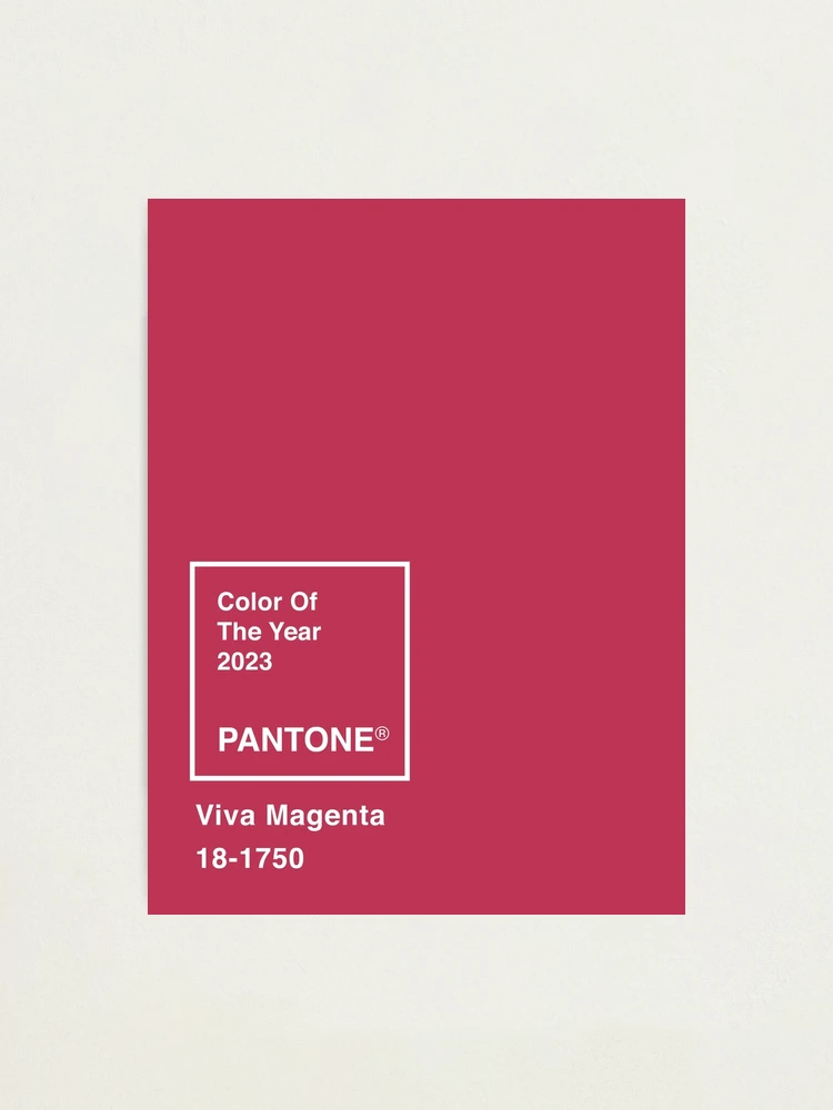 Pantone® Color of the Year 2023 - Viva Magenta! - Designs of Distinction