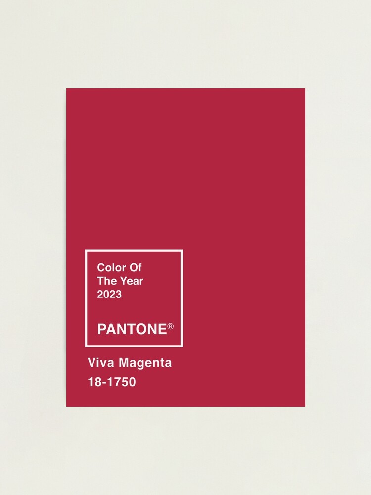 Pantone's Color of the Year 2023: Viva Magenta Color Palette 409 - Ave  Mateiu
