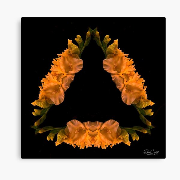 A Happy & Glad Triangle Canvas Print
