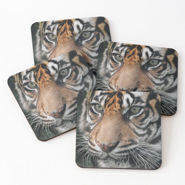 Item preview, Tiger designed and sold by photobytableau.