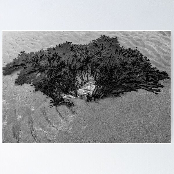 Item preview, On the Beach designed and sold by Raymond Kerr.
