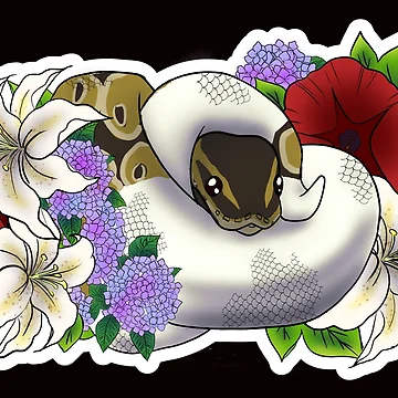 Artwork thumbnail, Ball Python Normal Pied by Kirin-Riki