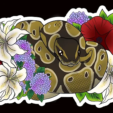 Artwork thumbnail, Ball Python Normal by Kirin-Riki