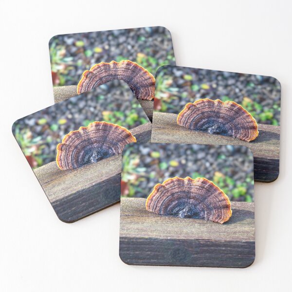Item preview, A Rusty Gilled Polypore designed and sold by Leighton Collins.