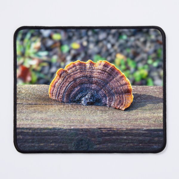 Item preview, A Rusty Gilled Polypore designed and sold by Leighton Collins.