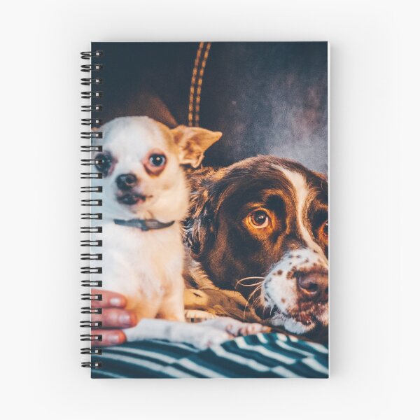 Item preview, Mason and Cujo designed and sold by FoolishCommandr.