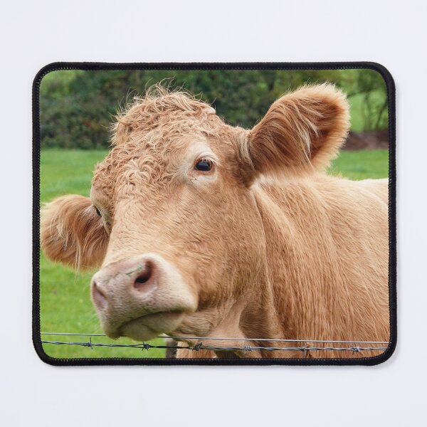 Item preview, Cow on a tilt. designed and sold by frogs123.