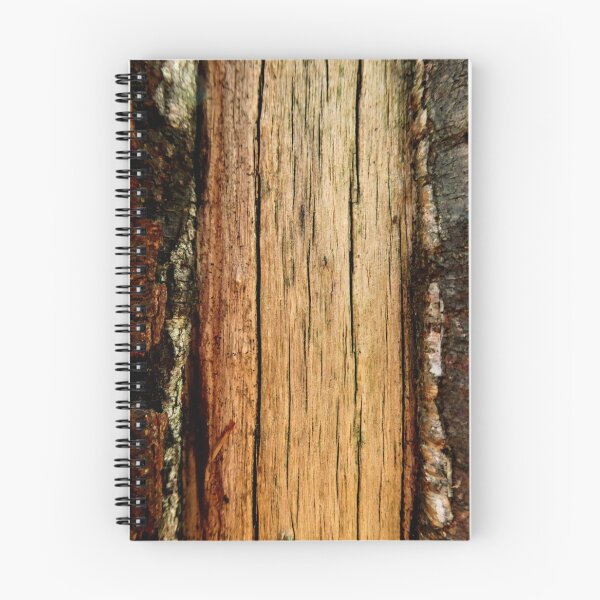 Item preview, A cracked birch trunk designed and sold by AdioraStore.
