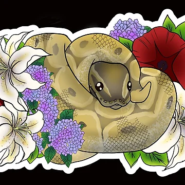 Artwork thumbnail, Ball Python Spider by Kirin-Riki