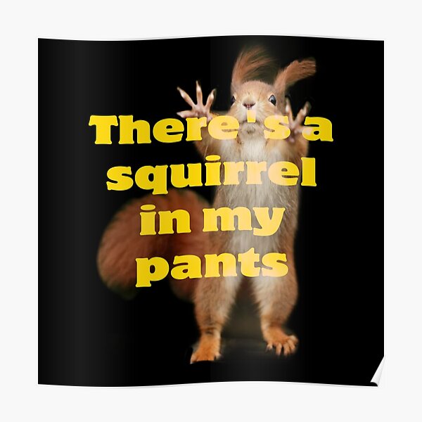 "There’s a Squirrel in my pants" Poster for Sale by bipolarvirgoart