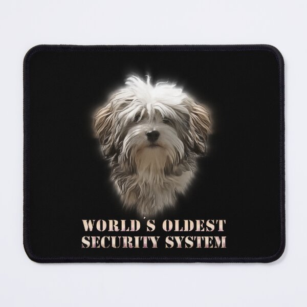 Item preview, World's oldest security system designed and sold by GNDesign.