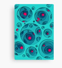 Interarea #11 Canvas Print