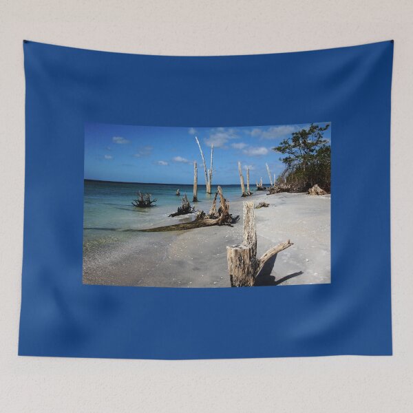 Item preview, Sun Bleached designed and sold by Debbie Oppermann.