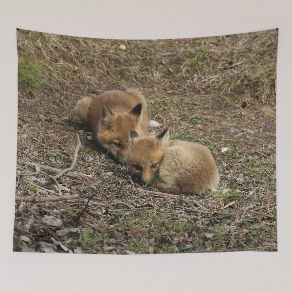 Item preview, Sleepy time foxes designed and sold by locustgirl.
