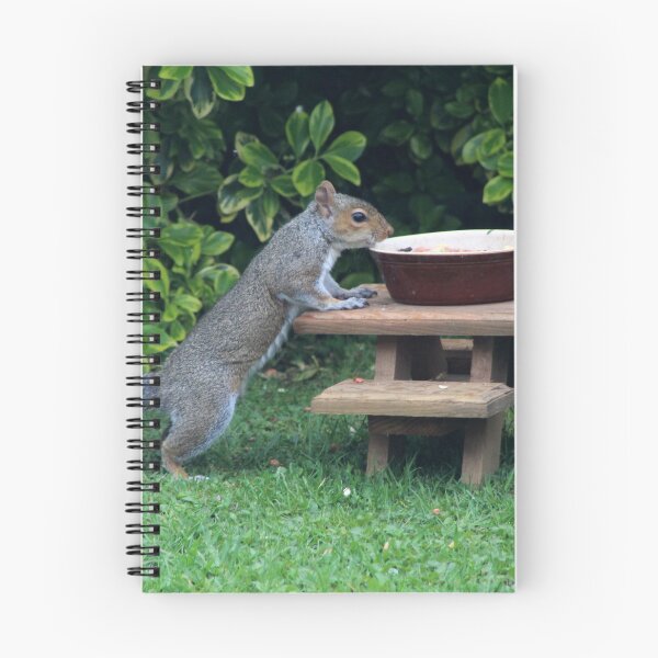 Item preview, Squirrel eating a picnic designed and sold by PixelPoppies.