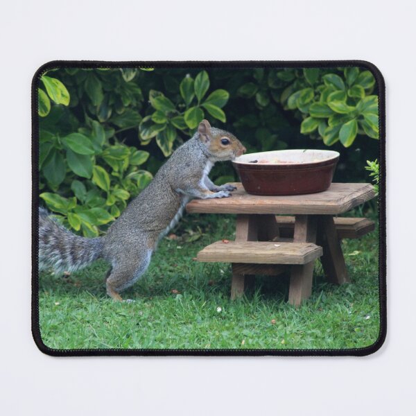 Item preview, Squirrel eating a picnic designed and sold by PixelPoppies.