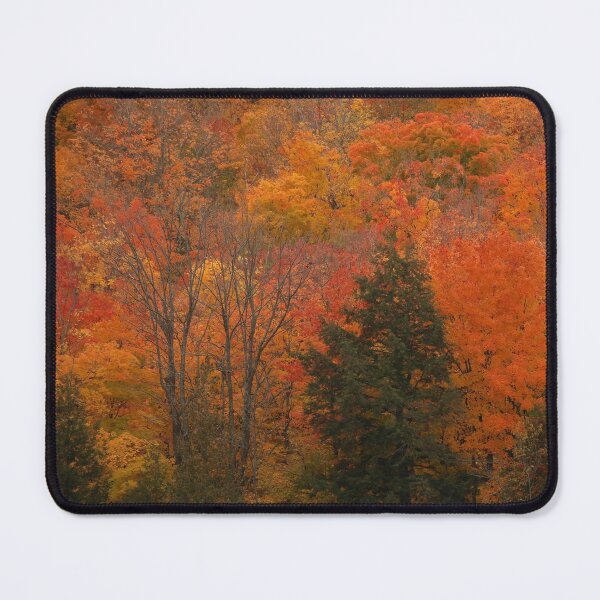 Item preview, Autumn in Ontario designed and sold by locustgirl.