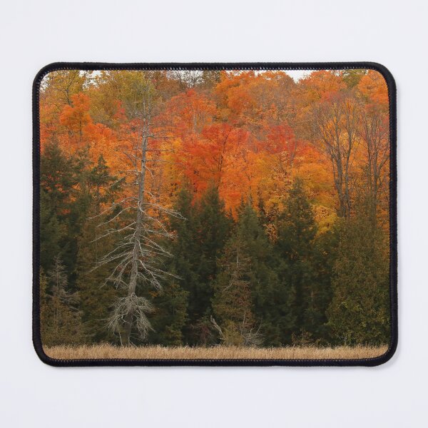 Item preview, Fall folliage designed and sold by locustgirl.