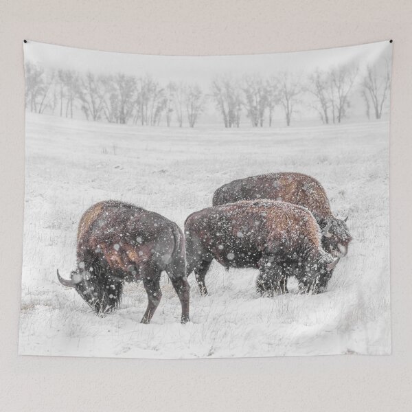 Item preview, Frosty Bison Trio designed and sold by Elevated Imaging .