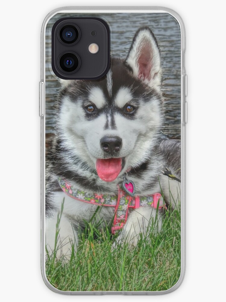 Susser Husky Welpe Iphone Hulle Cover Von Bbrightman Redbubble