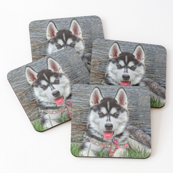 Item preview, Sweet Siberian Husky Puppy designed and sold by BBrightman.