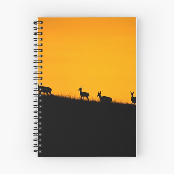 Item preview, Atardecer de berrendo designed and sold by Elevated Imaging .