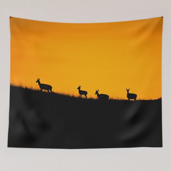 Item preview, Pronghorn Sunset designed and sold by Elevated Imaging .