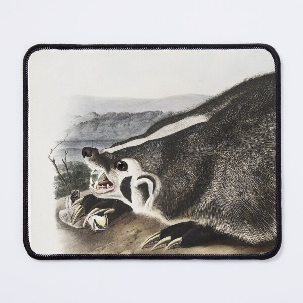 Item preview, Audubon American Badger Portrait designed and sold by Oldetimemercan.