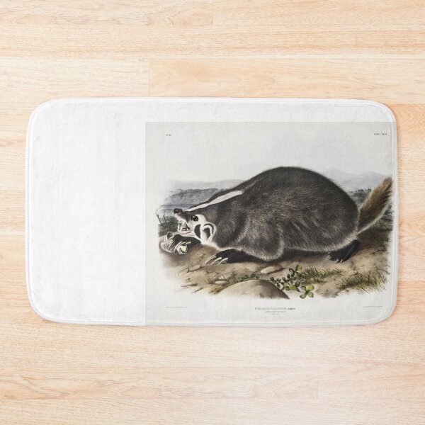 Item preview, Audubon American Badger Portrait designed and sold by Oldetimemercan.