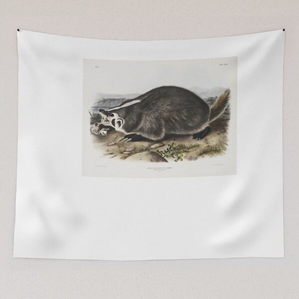 Item preview, Audubon American Badger Portrait designed and sold by Oldetimemercan.