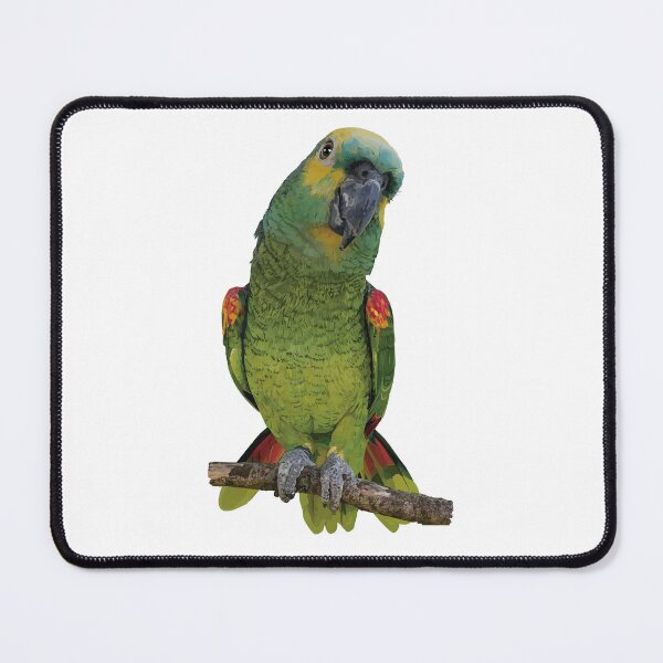 Item preview, The blue-fronted amazon designed and sold by obscurite.
