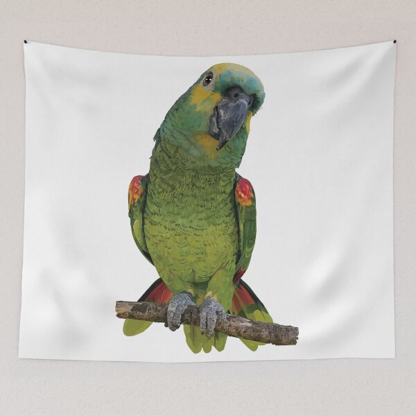 Item preview, The blue-fronted amazon designed and sold by obscurite.