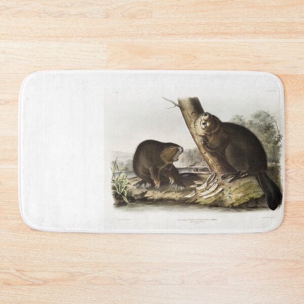 Item preview, Audubon American Beaver Portrait designed and sold by Oldetimemercan.