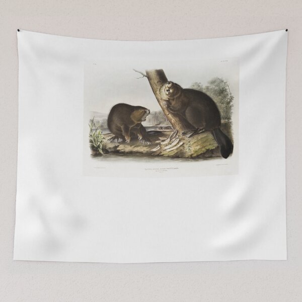 Item preview, Audubon American Beaver Portrait designed and sold by Oldetimemercan.