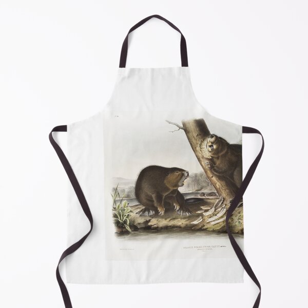 Item preview, Audubon American Beaver Portrait designed and sold by Oldetimemercan.
