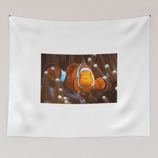 Item preview, Clown fish designed and sold by Jaykayl.
