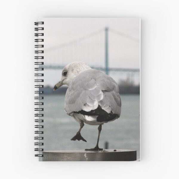 Item preview, Seagull and the Ambassador Bridge designed and sold by ESK-Kalevala.