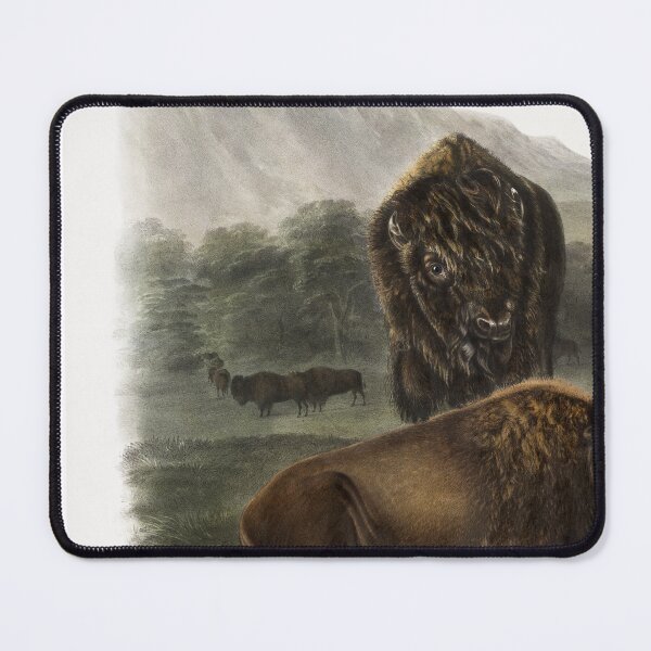 Item preview, Audubon American Bison Portrait designed and sold by Oldetimemercan.