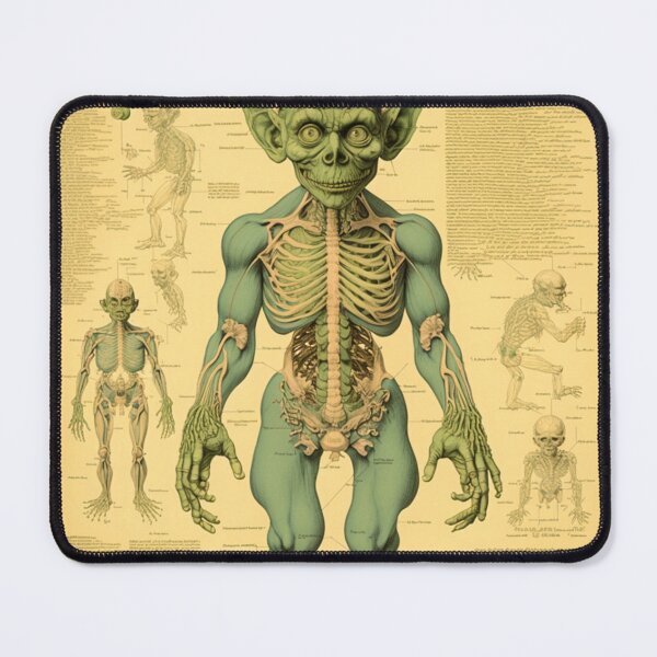 Item preview, Anatomical Goblin Blueprint Fantasy Page designed and sold by Itis-Whatitis.