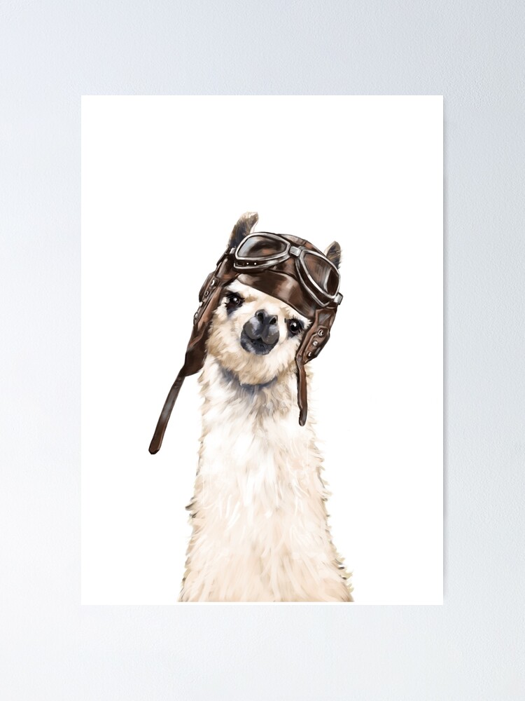 Pilot Llama Poster for Sale by bignosework