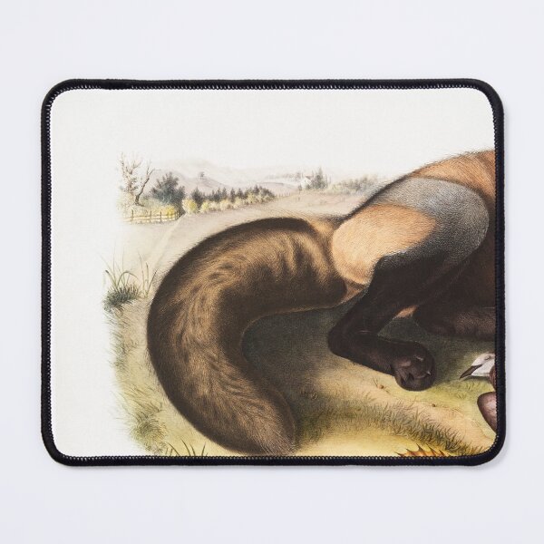 Item preview, Audubon American Cross-Fox Portrait designed and sold by Oldetimemercan.