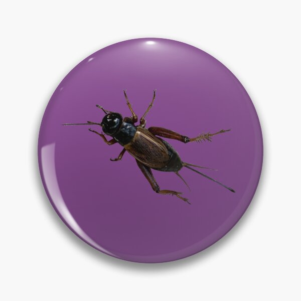 Item preview, Cricket designed and sold by derbyisdead.