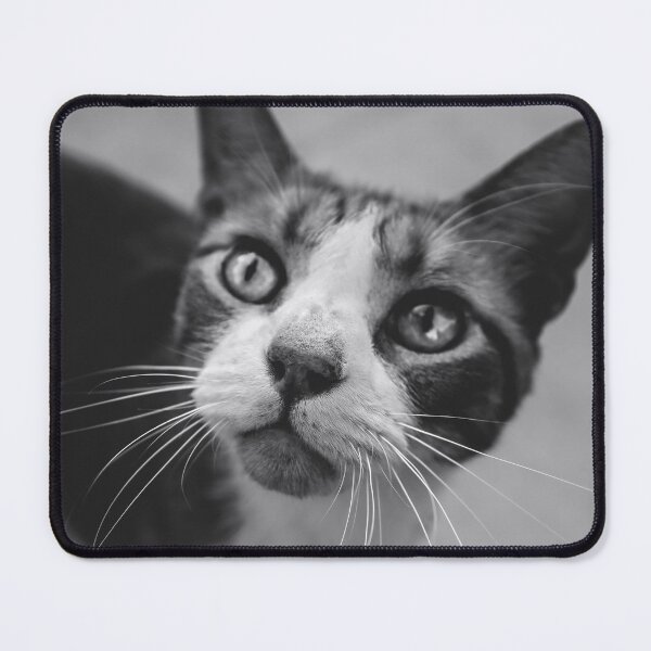 Item preview, Gray Cat looking up designed and sold by Victoria Avvacumova.