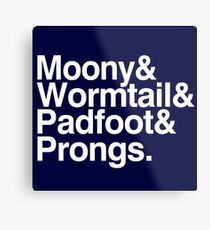 The Marauders Metal Print