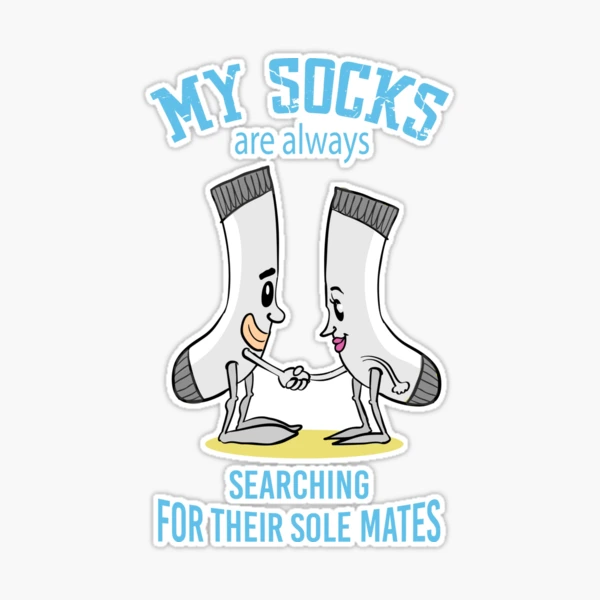 Funny Lost Socks Laundry Pun | Sticker