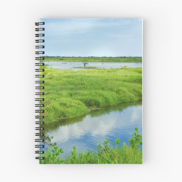 Item preview, Florida Marshland designed and sold by John Bailey.